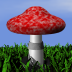 Champignons, version iPad (Lien AppStore) 